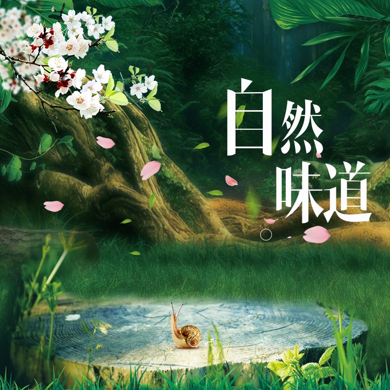 《新品推荐》赠你山里的空气，不如赠你能净化的吊顶  世纪豪门吊顶墙面  今天